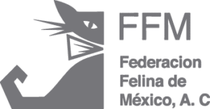 about-logo-ffm